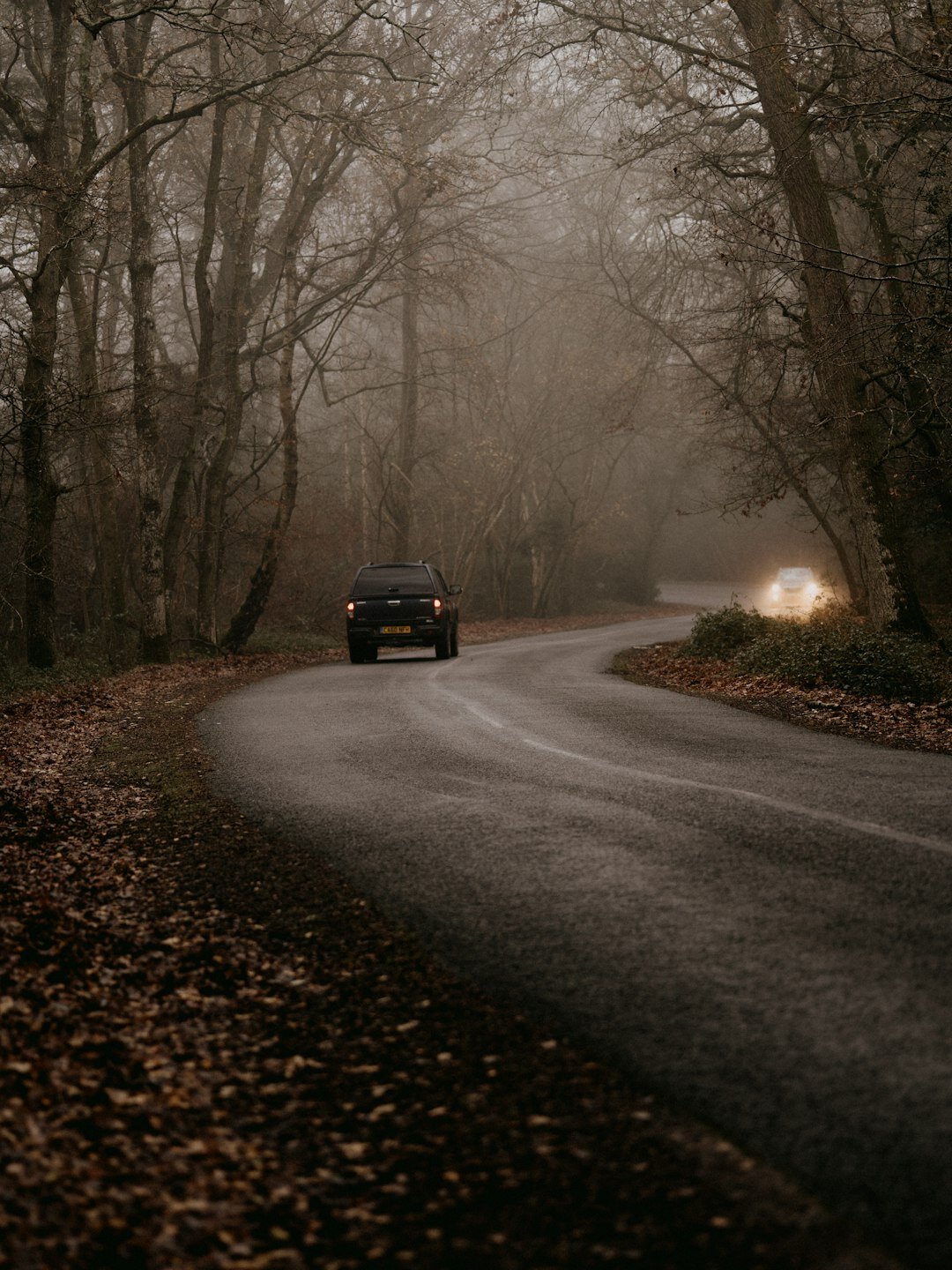forest road autumn leaves luxury vehicle